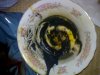 DSC01388.JPG