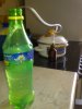 DSC01390.JPG