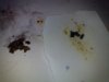 DSC01393.JPG