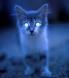 0_1b60d_31316abf_L.jpg