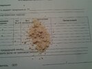 20130205_061312.jpg