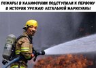 IMG-20171013-WA0021.jpg