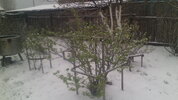 IMG_20180519_084441.jpg