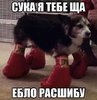 _home_sps_www_1_shared_temp_upl_970cc4f38c155a2f714c63fbb5cd52c6.jpg