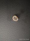IMG_20200925_104932.jpg