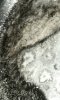 20201014_174856.jpg