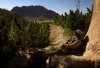 d25_2068.jpg