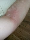 IMG_20220411_180438.jpg