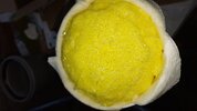 20221219_150358.jpg