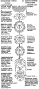 1028597-doc2fb_image_03000004.png