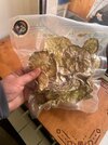 IMG_4136.jpeg