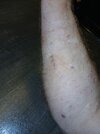 20250728_102544.jpg