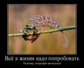 1425371048_demotivatory-10.jpg