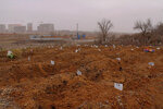 upload-IMG_4479-pic4-452x302-8049.jpg