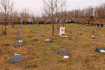 upload-IMG_4591-pic4-452x302-33976.jpg