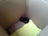 20150504_103023.jpg