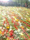 Фото0695.jpg