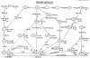 655b5835906a.jpg