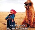 -0lson2gzua_01221229_b.jpg