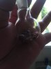 IMAG0343.jpg
