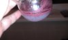 IMAG0349.jpg