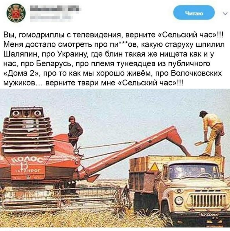 14791496.jpg
