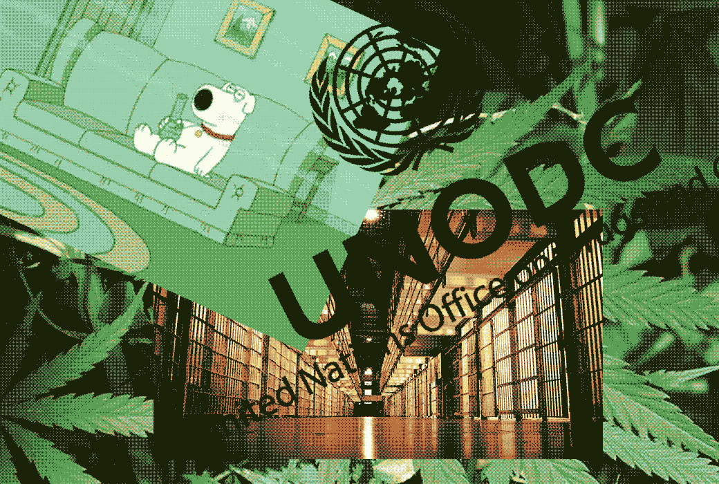 k9NN1dZZH47mcTj22DX_Uw-wide.gif