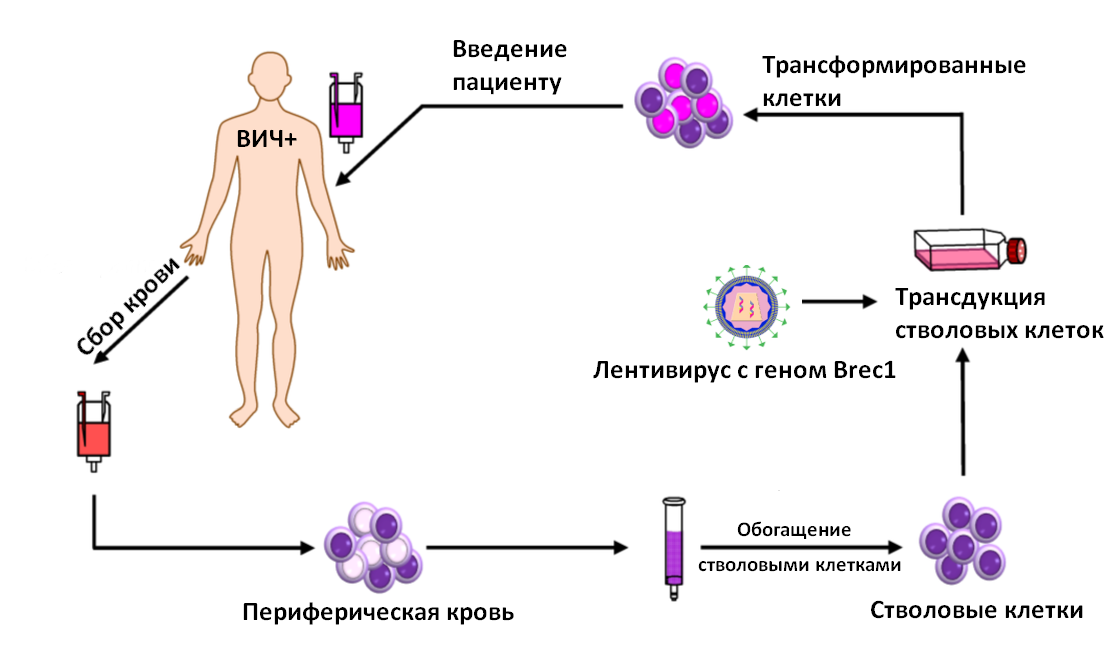 novosti-lecheniya-vich.png